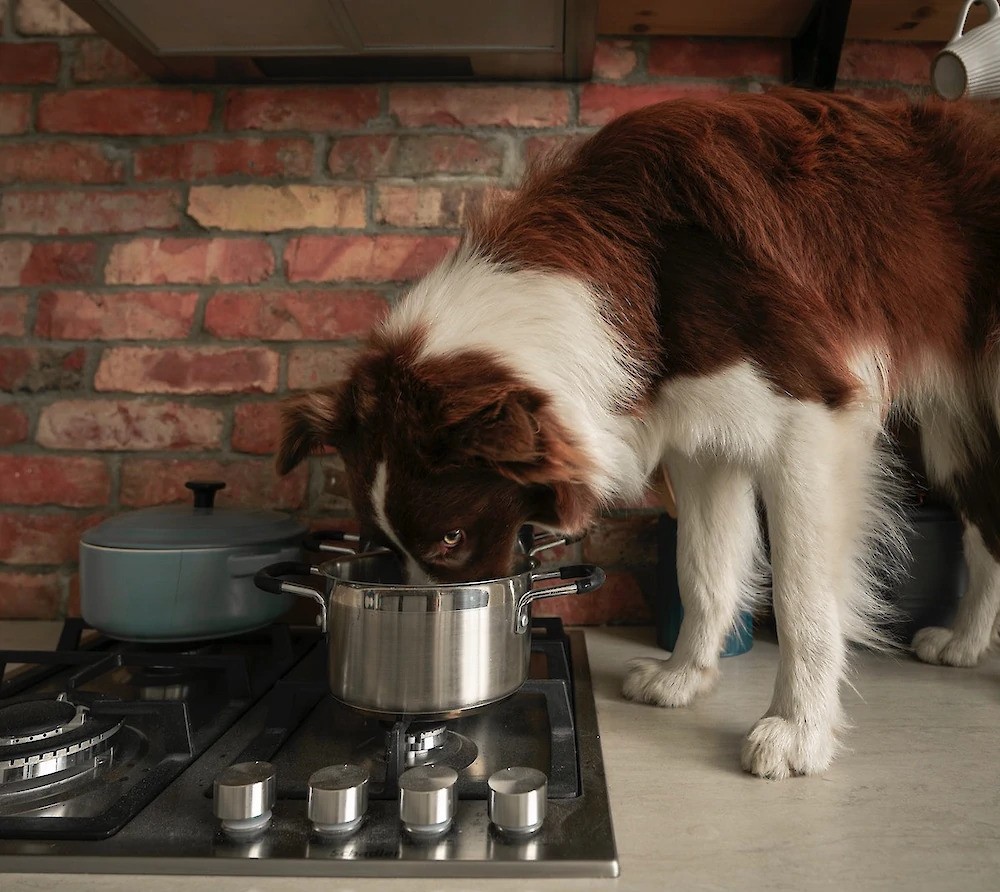 Take Our Behaviour Quiz